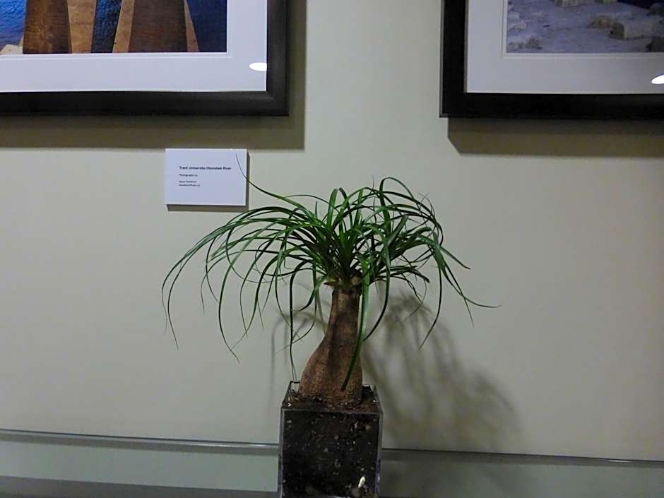 Super 8 by Wyndham Peterborough