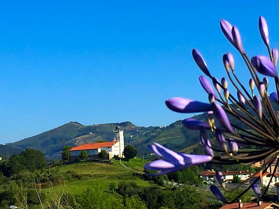 ABARAXKA HOSTEL Disfruta la Vía Verde del Urola hasta la Playa - Naturaleza Montañas y Riqueza Cultural