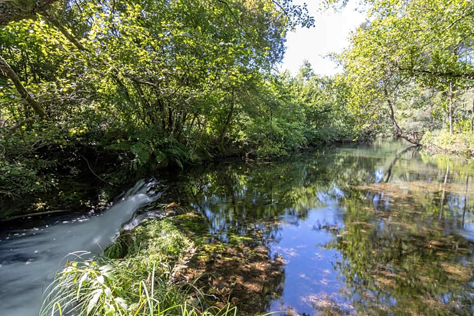 Riba Rio - Unique Nature Spot