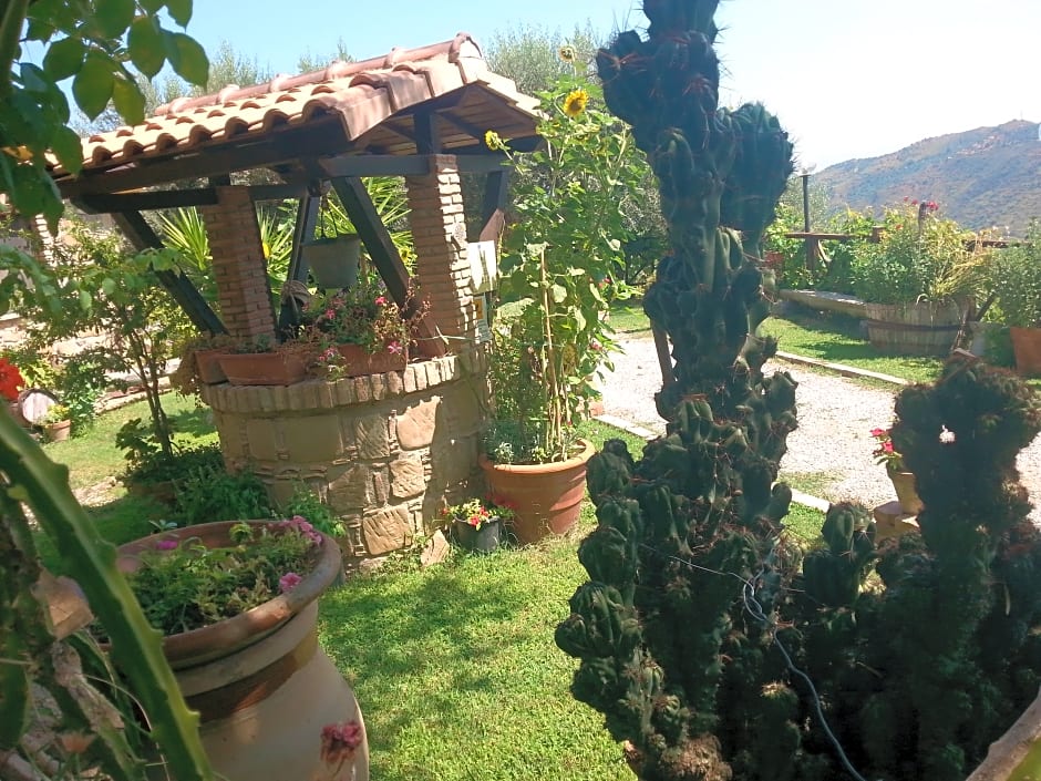 Agriturismo L'Uliveto