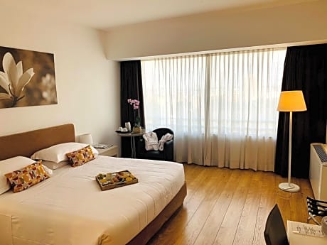 Superior Double Room with City View