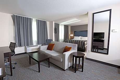1 King Bed Studio Suite Non-Smoking