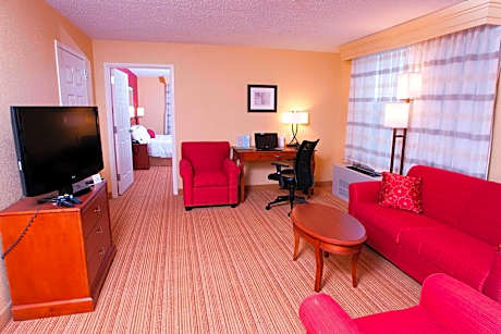 Junior Suite, 1 King, Sofa bed