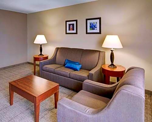 Comfort Inn & Suites Plano East