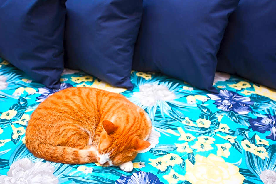 Pousada Casalinda Camburi