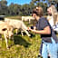 Sandalwood Downs Fabulous Farm Stay TOODYAY