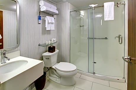 Room, 1 King Bed, Non Smoking