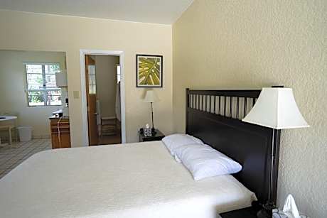 Deluxe Queen Suite