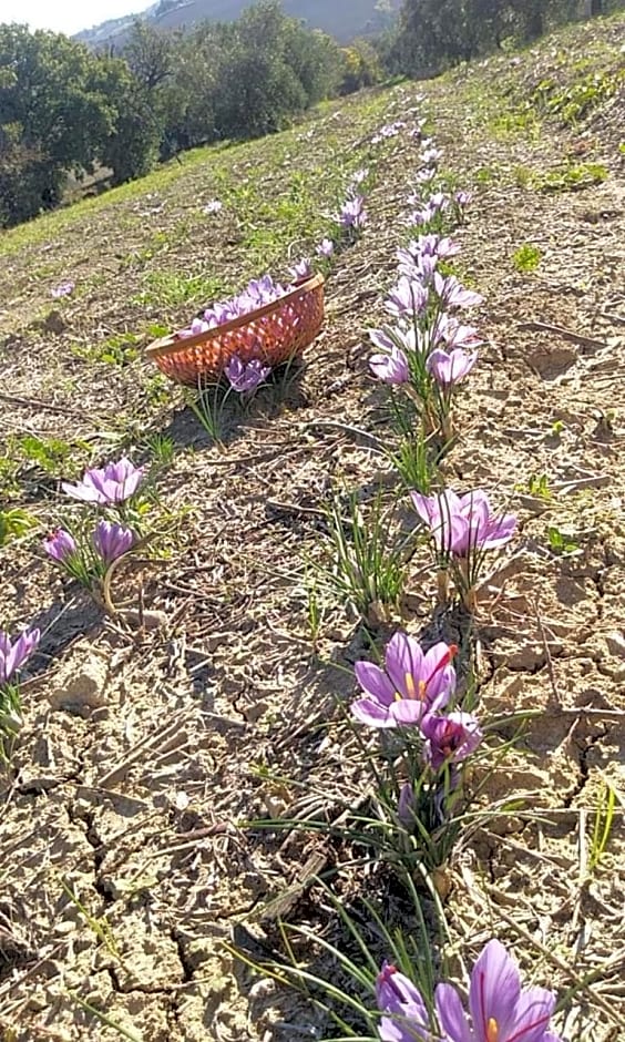 Agriturismo Campo Aperto