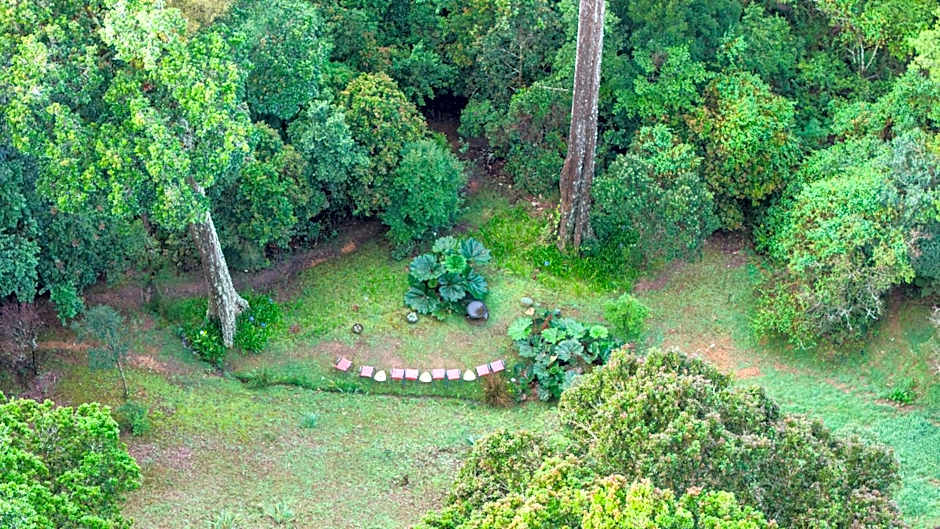 Dantica Cloud Forest Lodge
