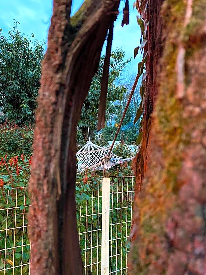 Kadifeli Konak Hotel & Bungalow