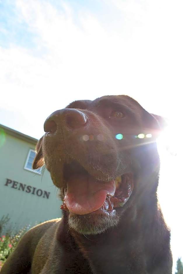 Landhauspension Rank