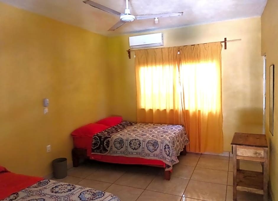 Nexpa cabañas Martha surf spot