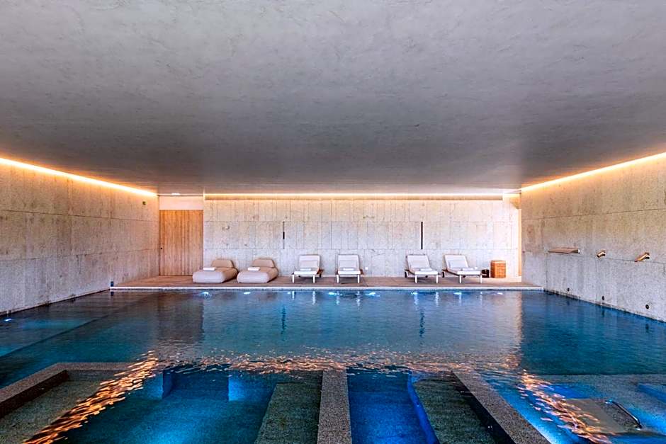 The Lince Santa Clara