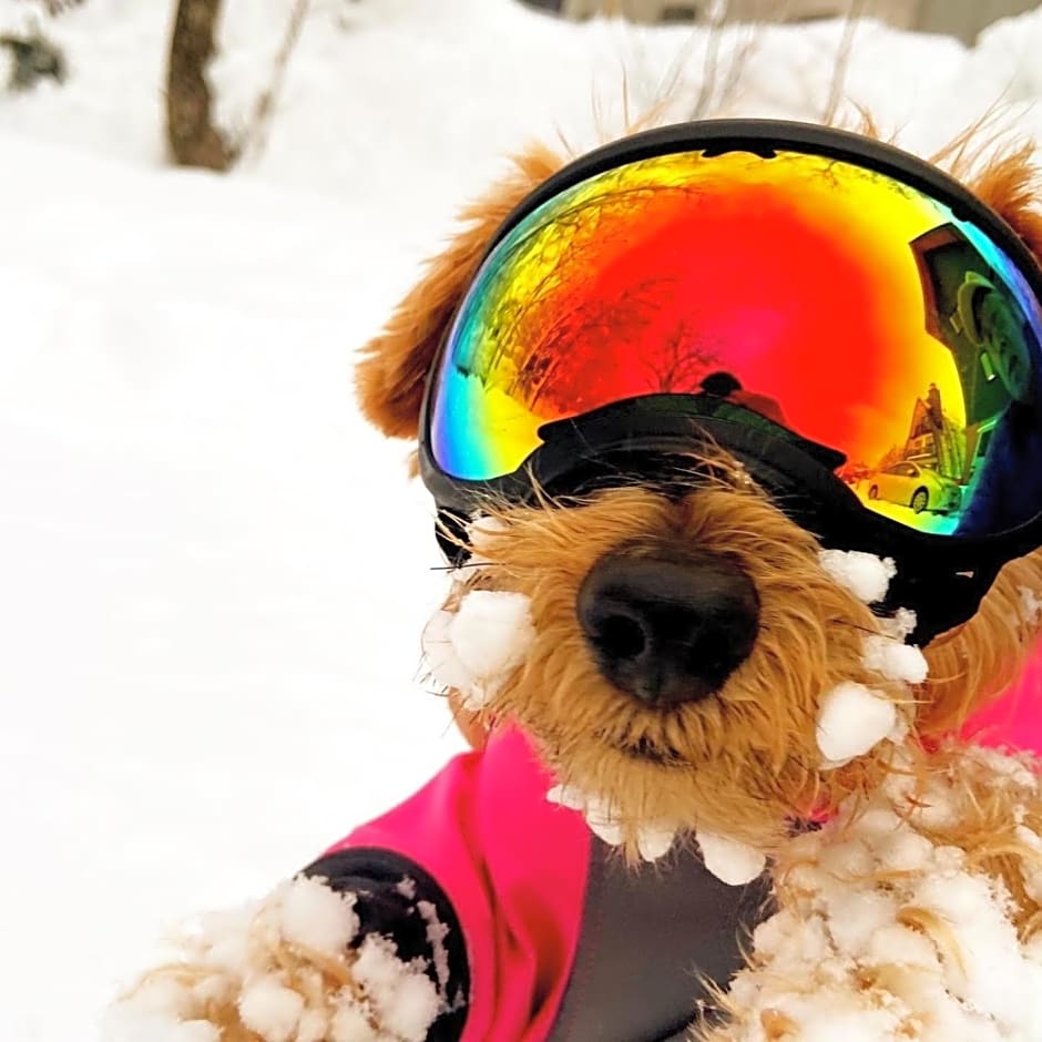 Hakuba Powder Mountain