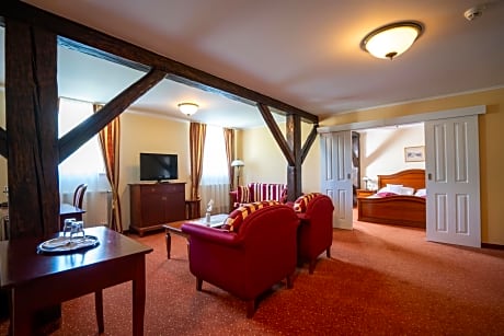 Deluxe King Suite with Treatment Program