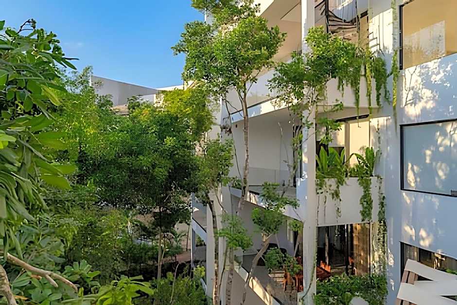 Oasis Yaaxlum