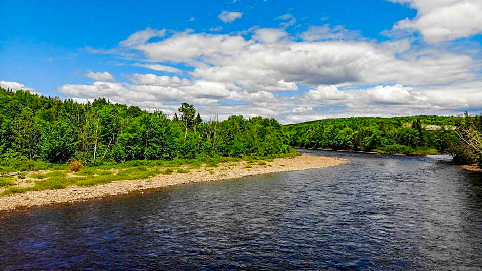 Riverside Cabin, Fishing, and Relaxation