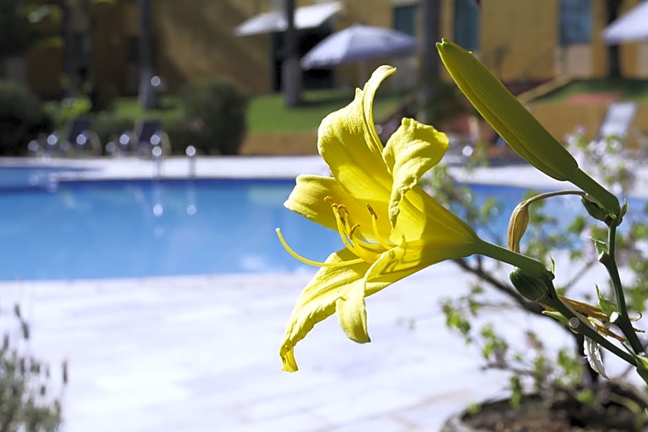 Dan Inn Franca & Convenções