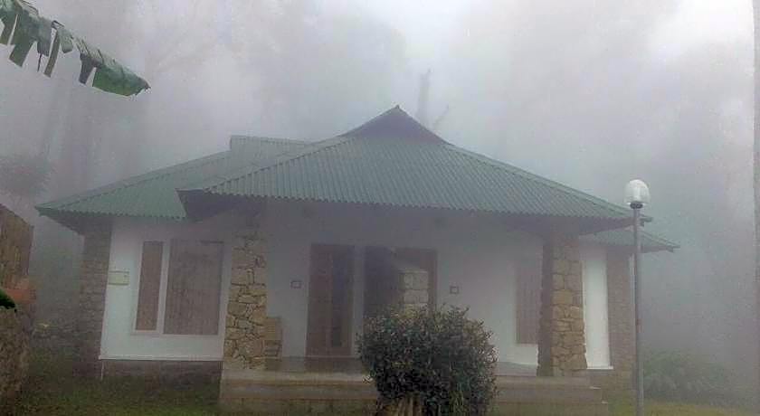 Neelakurunji Plantation Munnar