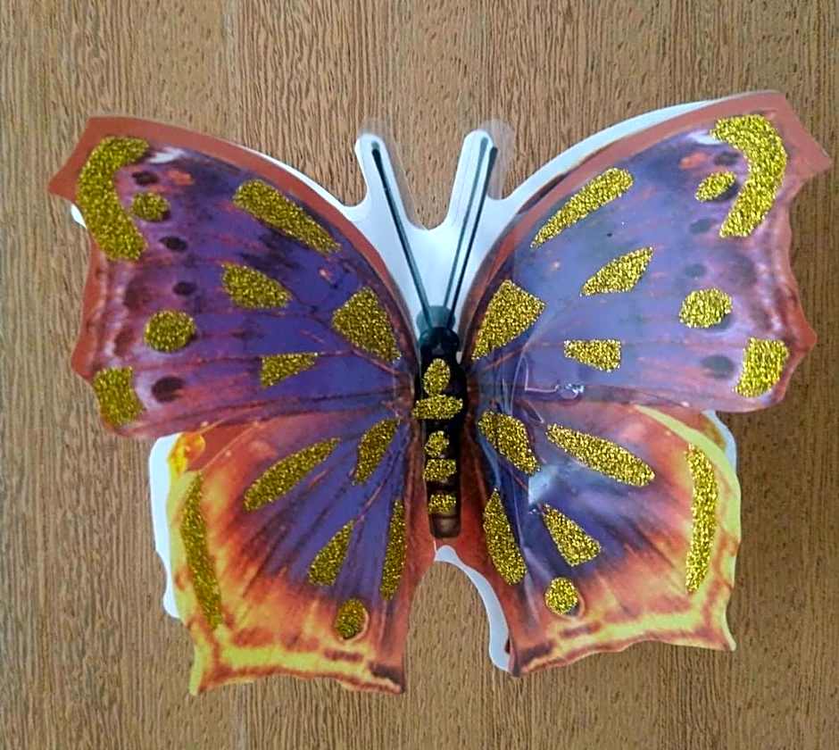 Pousada Beach Eco House Floripa Com Ar Condicionado