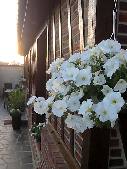 Les Chambres de Paule