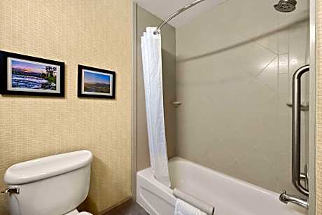 1 King Bed Suite Nonsmoking Accessible