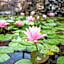 Cnaan Village Boutique Hotel & Spa