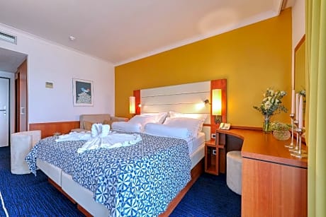 Comfort Double Room with Park View