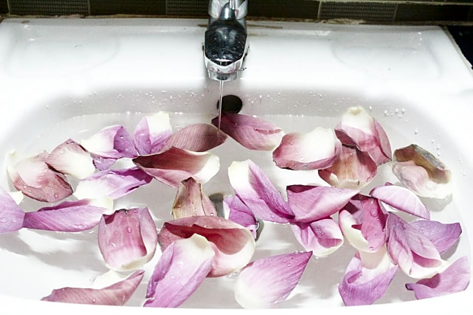 The Siem Reap Chilled Backpacker