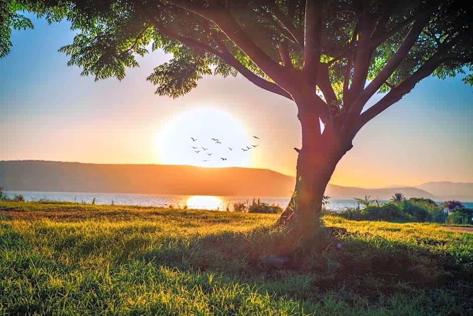 Daria- Authentic Israeli Experience