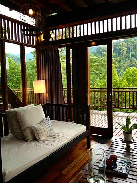 The Shorea
