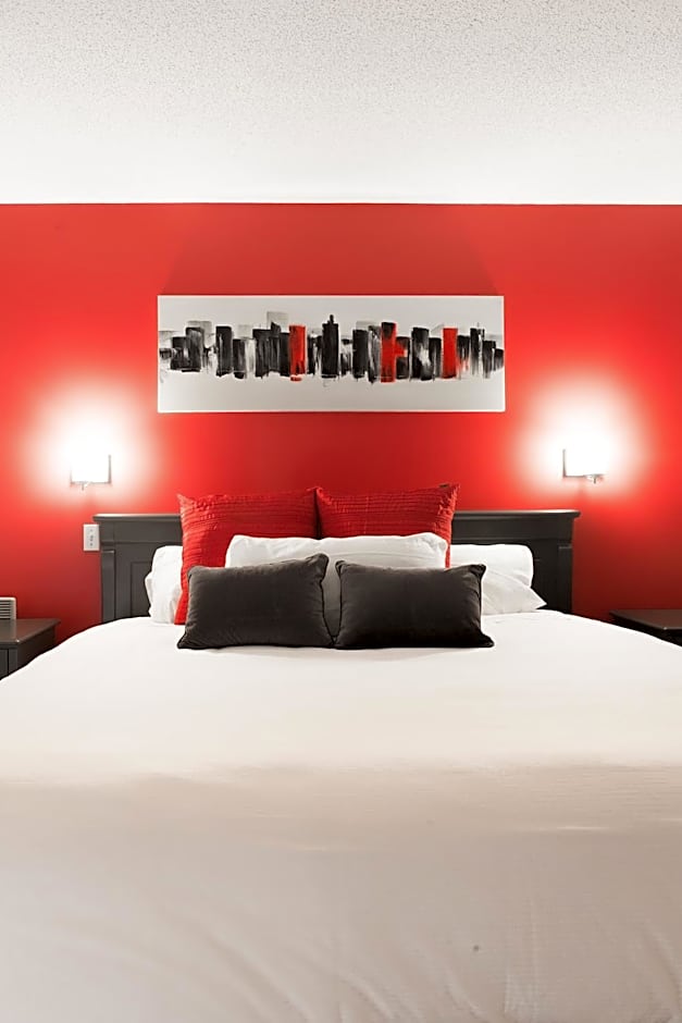 Hotel Universel Alma