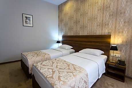Superior Double or Twin Room with City View