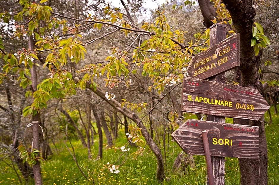 Il Giardino di Fe