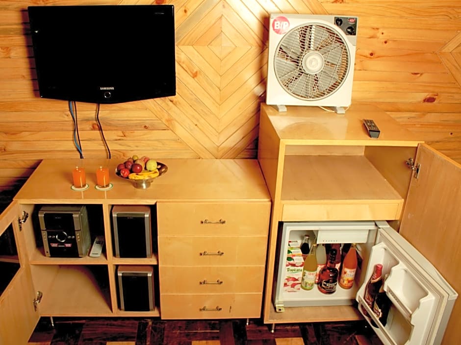 Bravia Hotel Manali Inn