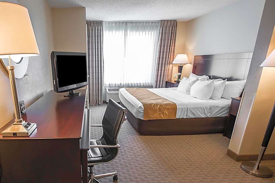 Comfort Suites University Area