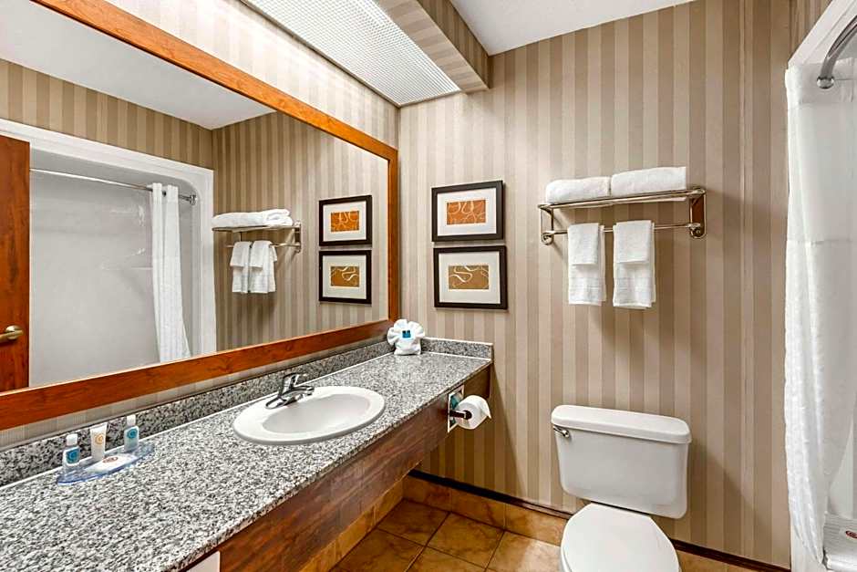 Comfort Inn Summerville - Charleston