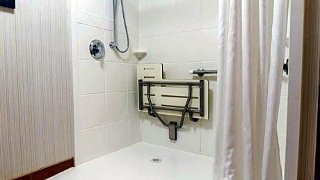 1 King Mobility Accessible W/Roll In Shower