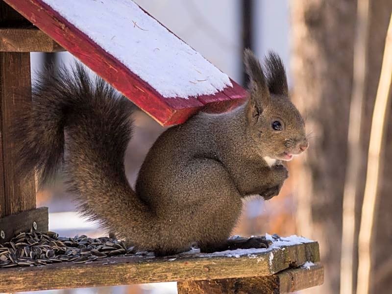 Guesthouse Canterbury