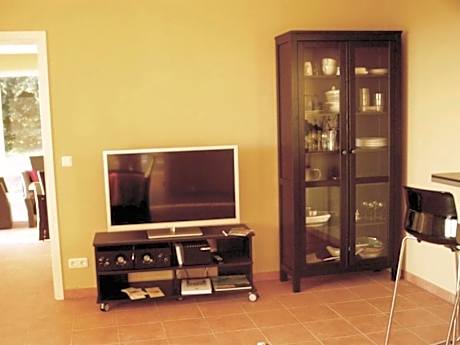 Standard One-Bedroom Apartment