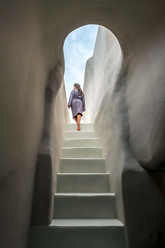 Art Maisons Oia Castle