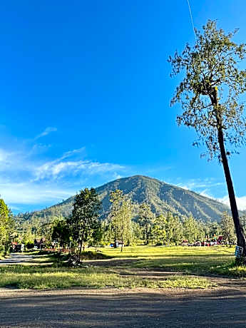 Avrilla Ijen Homestay & Cafe