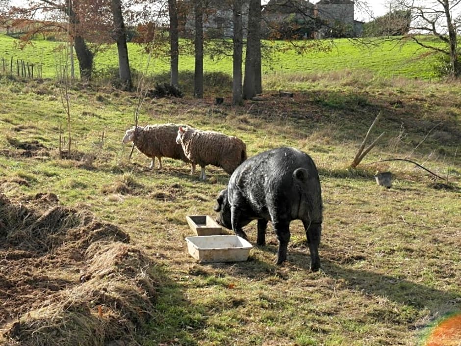 B&B - Chambres d'Hôtes Acoucoula