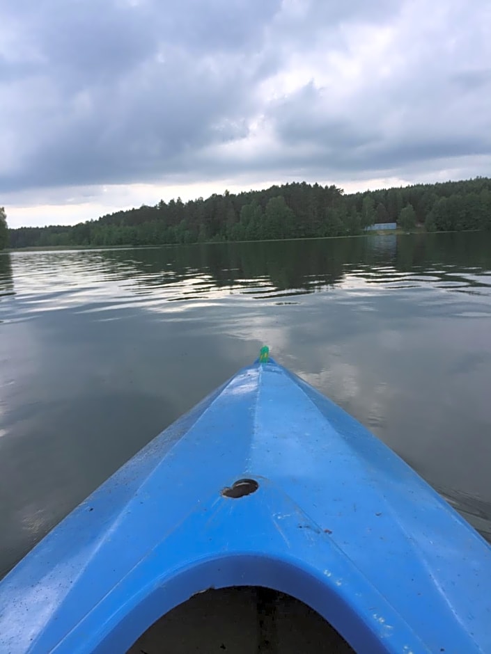 Dom letniskowy POŚRÓD KASZUBSKIEGO LASU