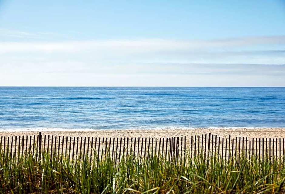 Marram