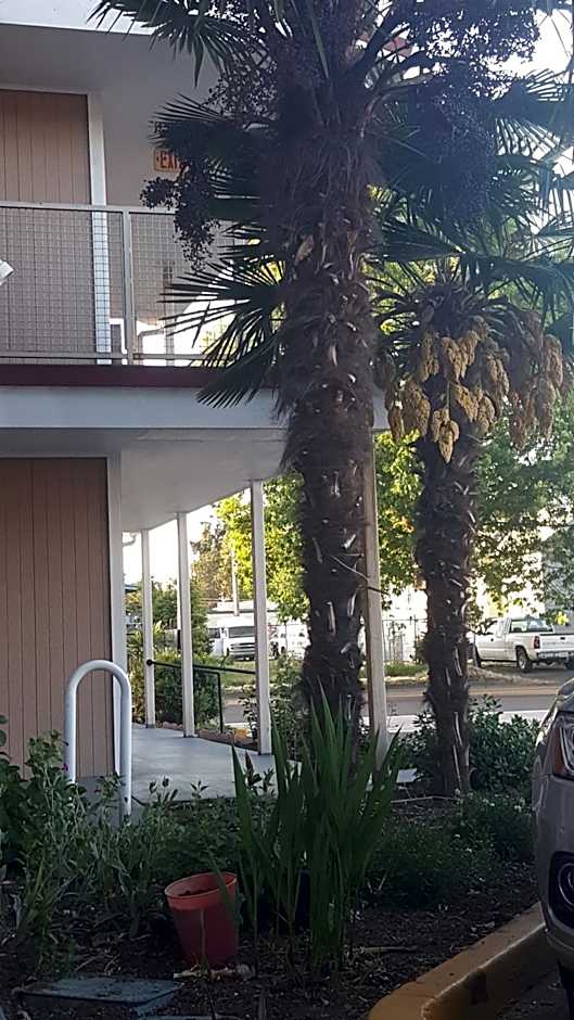 Express Inn & Suites Eugene