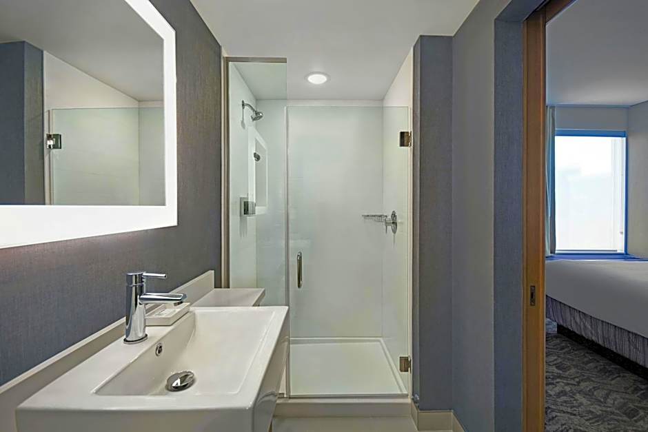 Springhill Suites by Marriott St. Paul Arden Hills