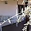 Villetta Del Salento Exclusive B&B