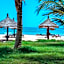 Royal Horizon Baobab